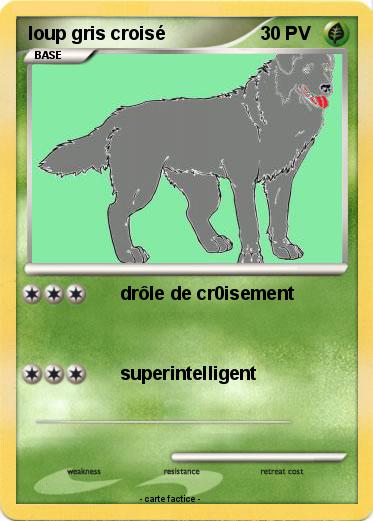 Pokemon loup gris croisé