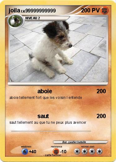 Pokemon joila