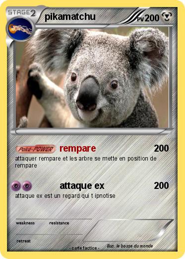 Pokemon pikamatchu