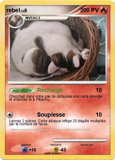 Pokemon rebel