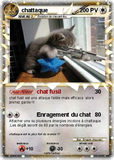 Pokemon chattaque