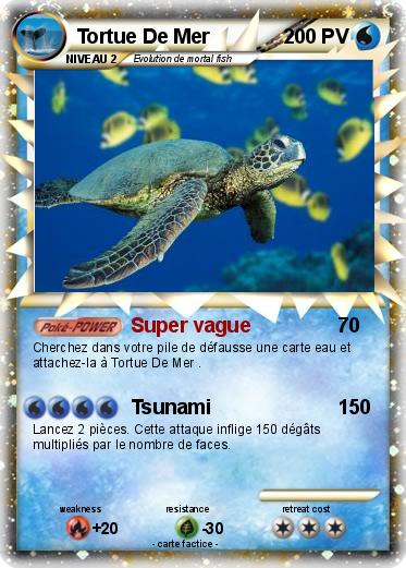 Pokemon Tortue De Mer