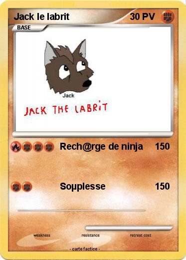 Pokemon Jack le labrit