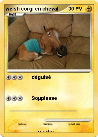 Pokemon welsh corgi en cheval