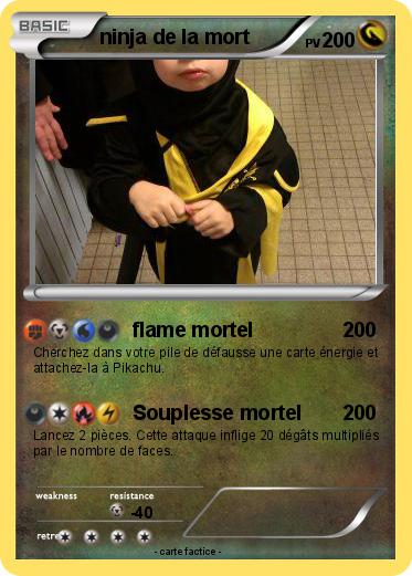 Pokemon ninja de la mort