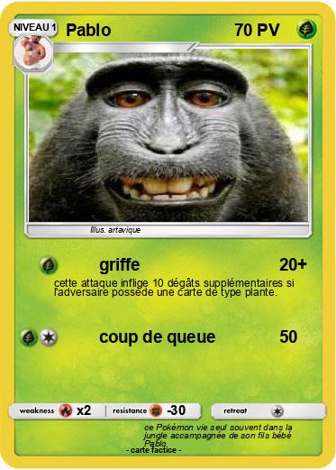 Pokemon Pablo