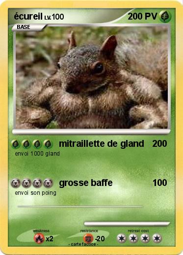 Pokemon écureil
