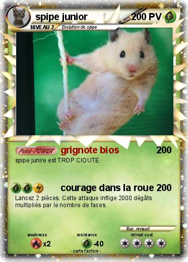 Pokemon spipe junior