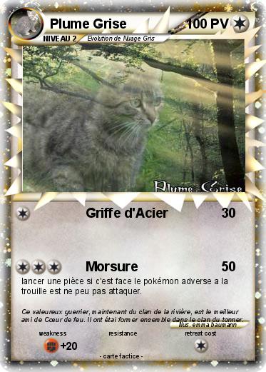 Pokemon Plume Grise