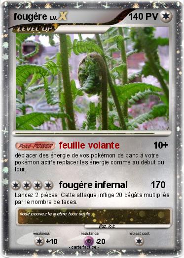 Pokemon fougère