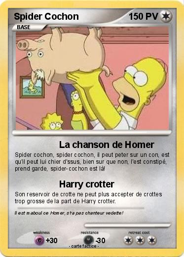 Pokemon Spider Cochon