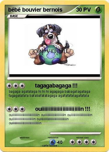 Pokemon bébé bouvier bernois