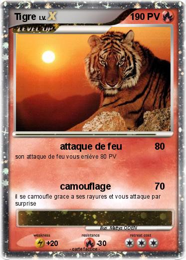 Pokemon Tigre
