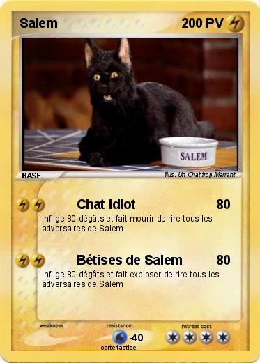 Pokemon Salem