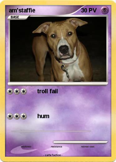 Pokemon am'staffie