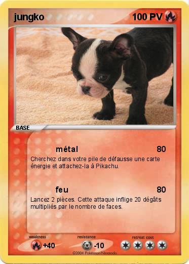 Pokemon jungko