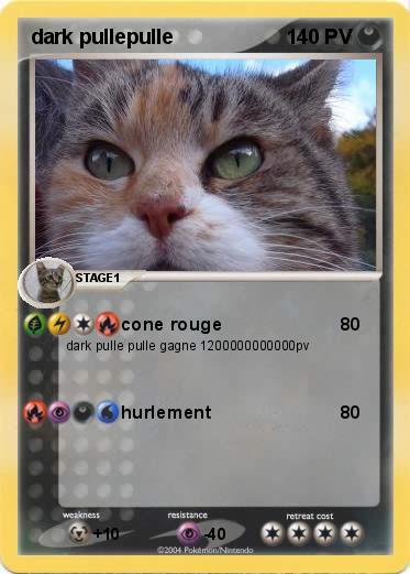 Pokemon dark pullepulle