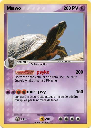 Pokemon Metwo