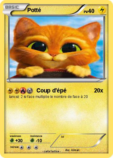 Pokemon Potté