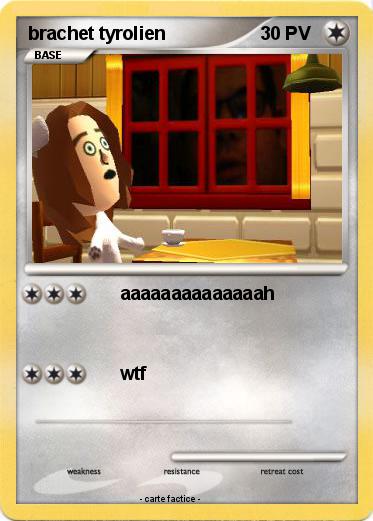 Pokemon brachet tyrolien