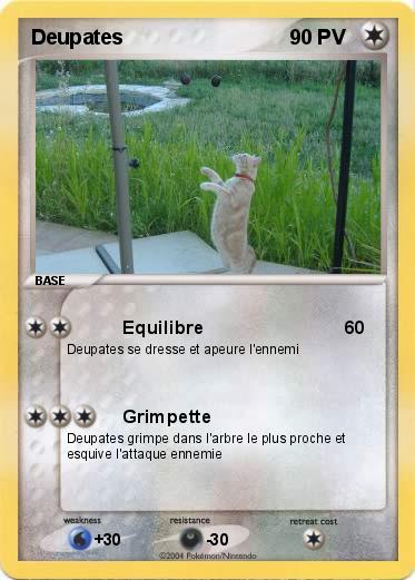 Pokemon Deupates