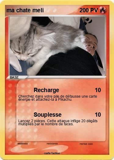 Pokemon ma chate meli