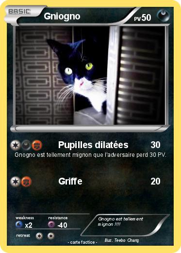 Pokemon Gniogno