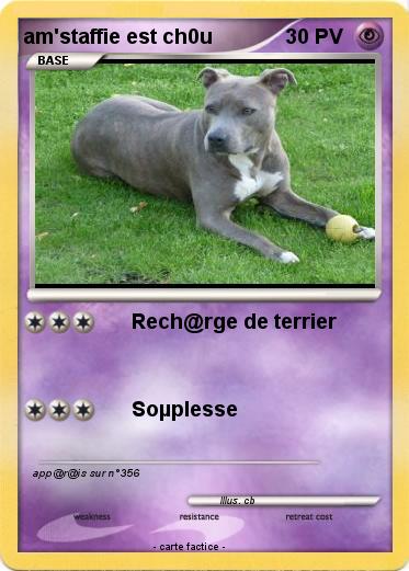 Pokemon am'staffie est ch0u