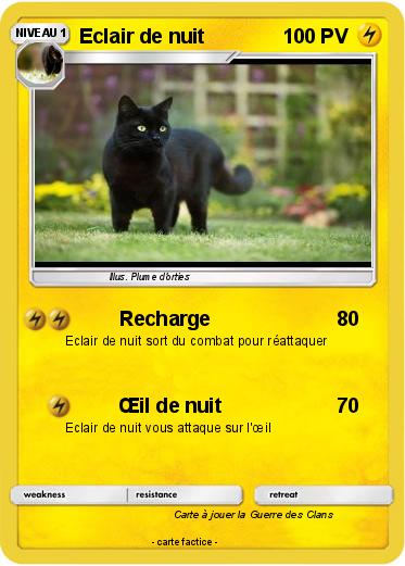 Pokemon Eclair de nuit