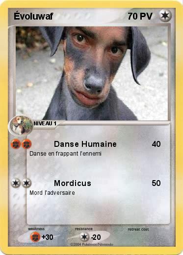 Pokemon Évoluwaf