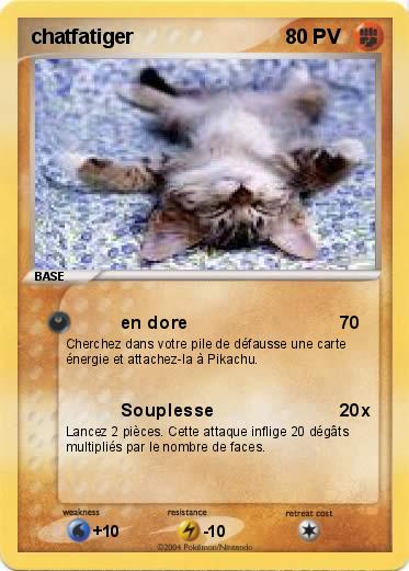 Pokemon chatfatiger