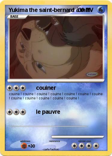 Pokemon Yukima the saint-bernard à mal