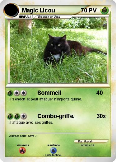 Pokemon Magic Licou