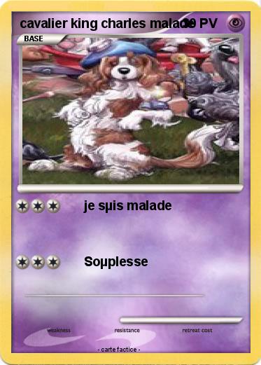 Pokemon cavalier king charles malade