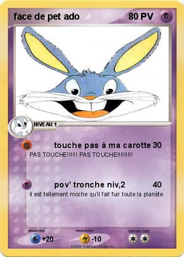 Pokemon face de pet ado