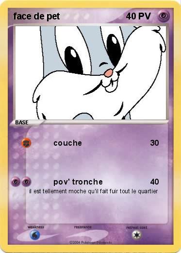 Pokemon face de pet