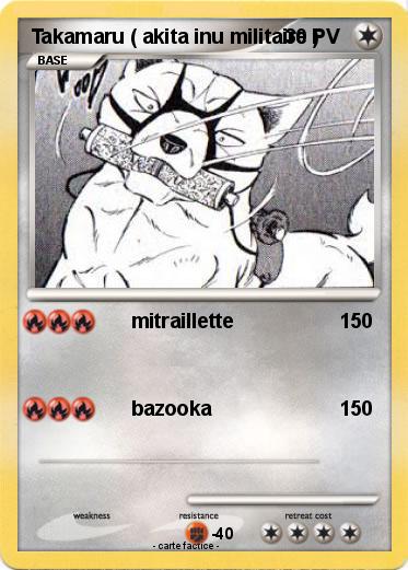 Pokemon Takamaru ( akita inu militaire )