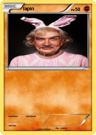 Pokemon lapin