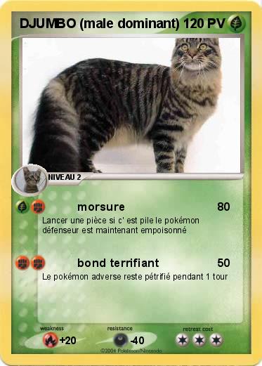 Pokemon DJUMBO (male dominant)