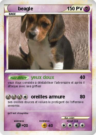 Pokemon beagle