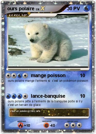 Pokemon ours polaire