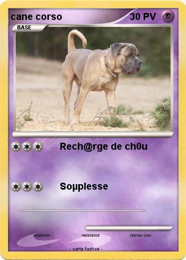 Pokemon cane corso