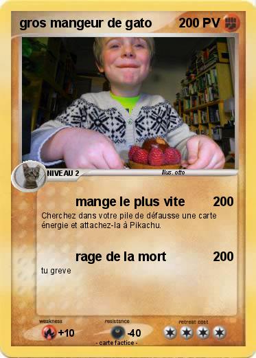 Pokemon gros mangeur de gato