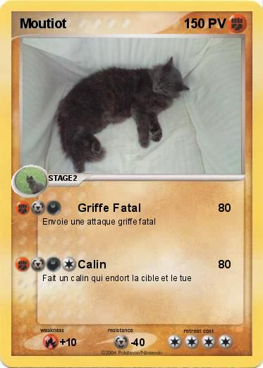 Pokemon Moutiot 