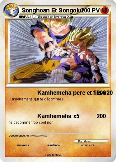 Pokemon Songhoan Et Songoku