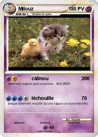 Pokemon Milouz