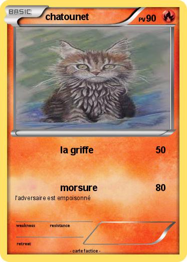 Pokemon chatounet