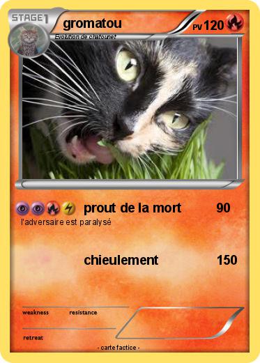 Pokemon gromatou