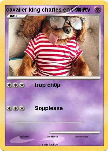 Pokemon cavalier king charles en t-shirt