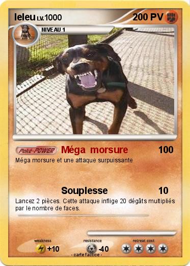 Pokemon leleu